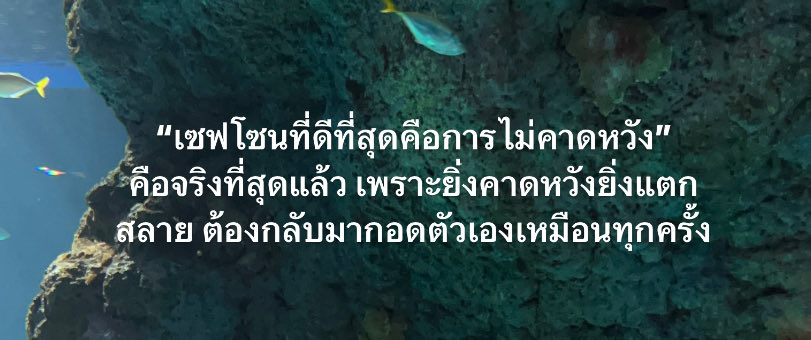 missyouonsaturn's tweet photo. อย่าคาดหวัง, https://t.co/6B4VJpyRtk