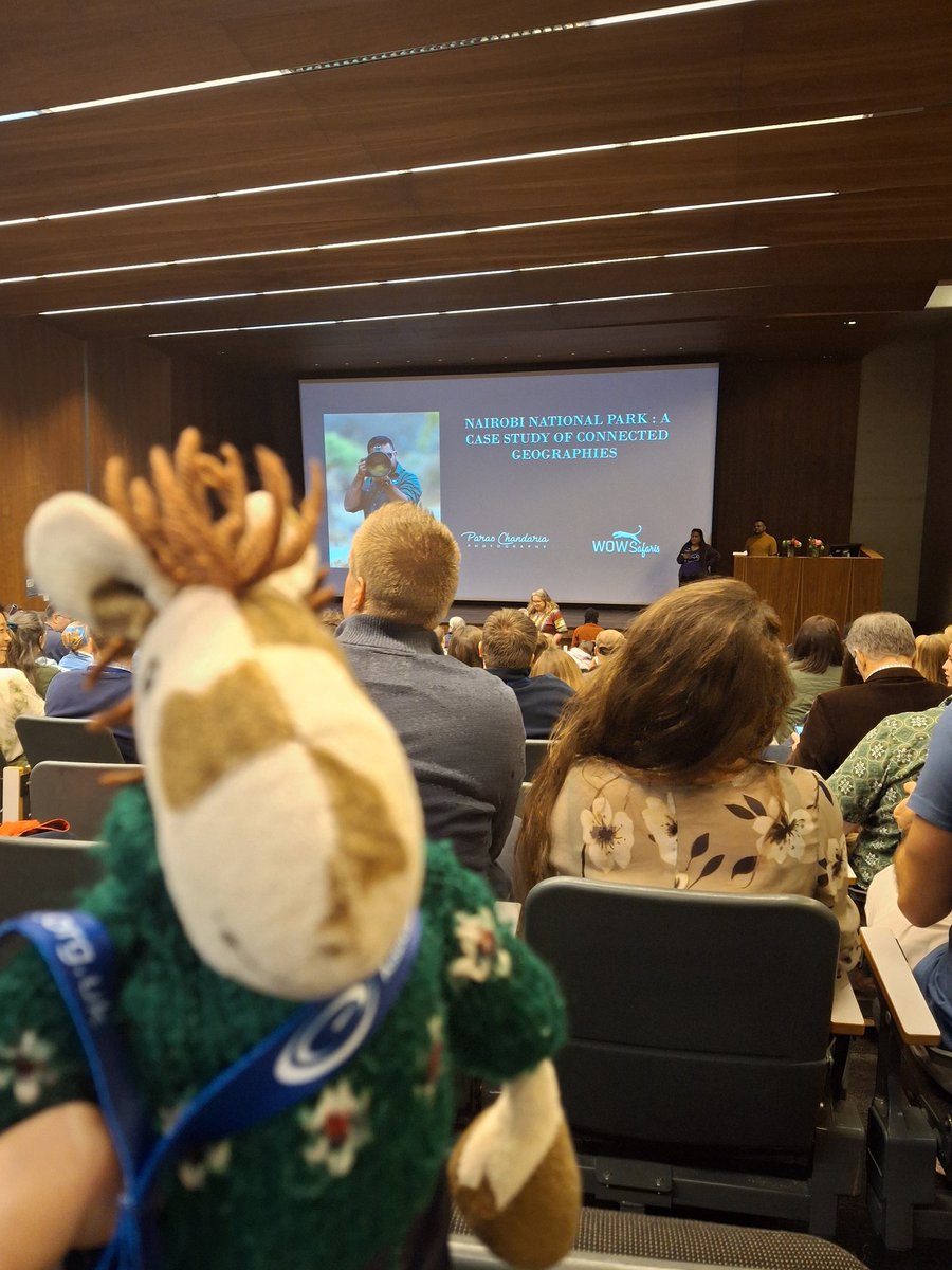 MissLFryer's tweet image. Charlie is enjoying his 3rd day at #GAConf25 ... even finding some cake to celebrate Teaching Geography&apos;s 50th birthday. Last few sessions to explore....