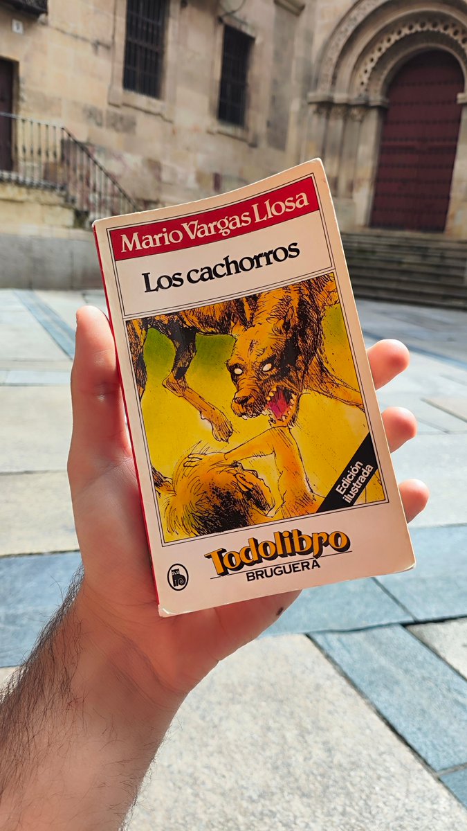 Aprovecho el buen tiempo de Salamanca para leer Mario Vargas Llosa