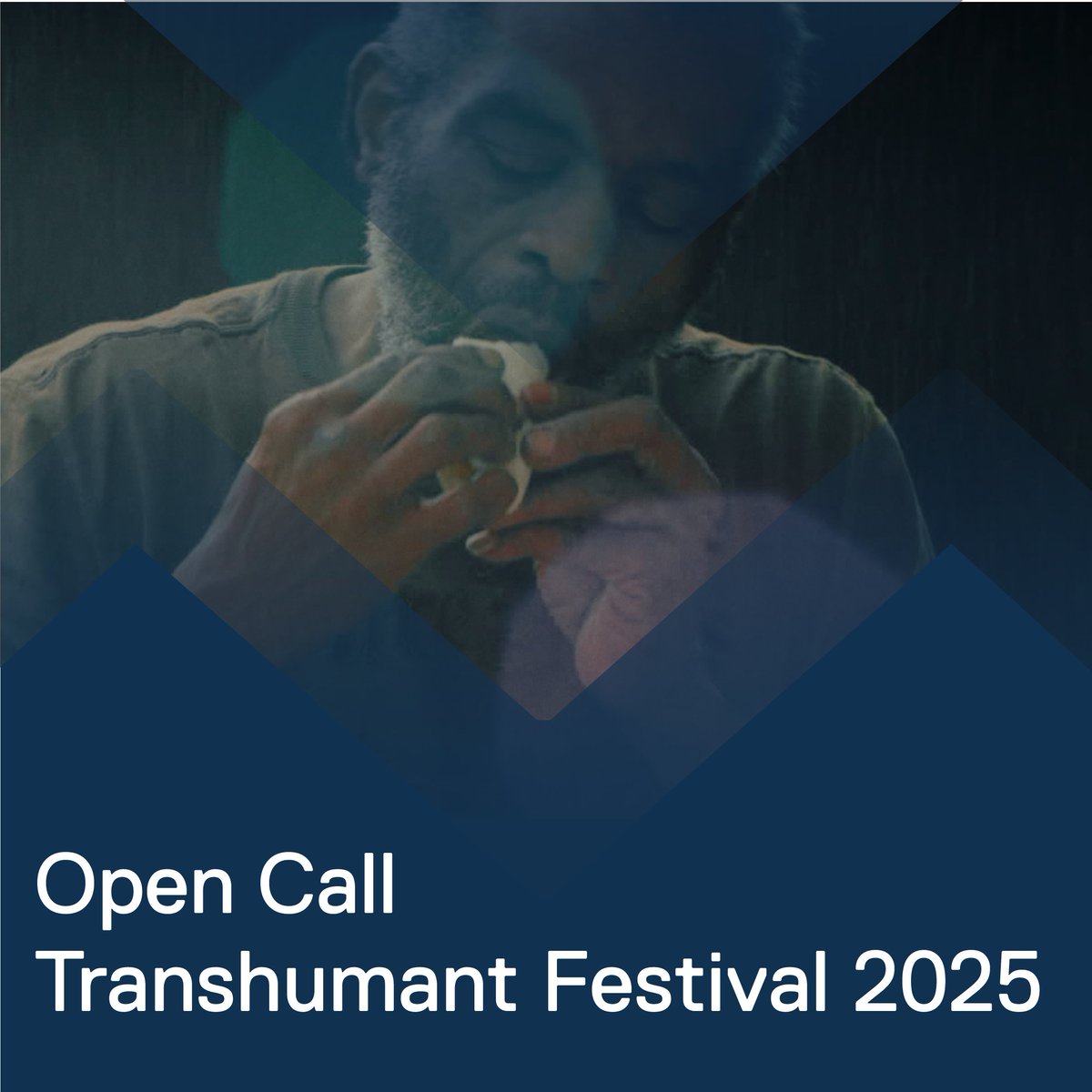 TRANSHUMANT tweet media