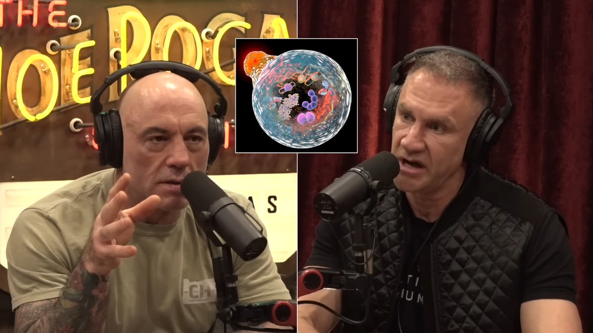 This is Gary Brecka.

World's #1 biohacker and one of the most controversial minds in human biology.

He sat down with Joe Rogan and shared mind-blowing health revelations 99% of people would've never thought of.

Here are 9 of his most shocking insights:
(No. 7 will terrify you)