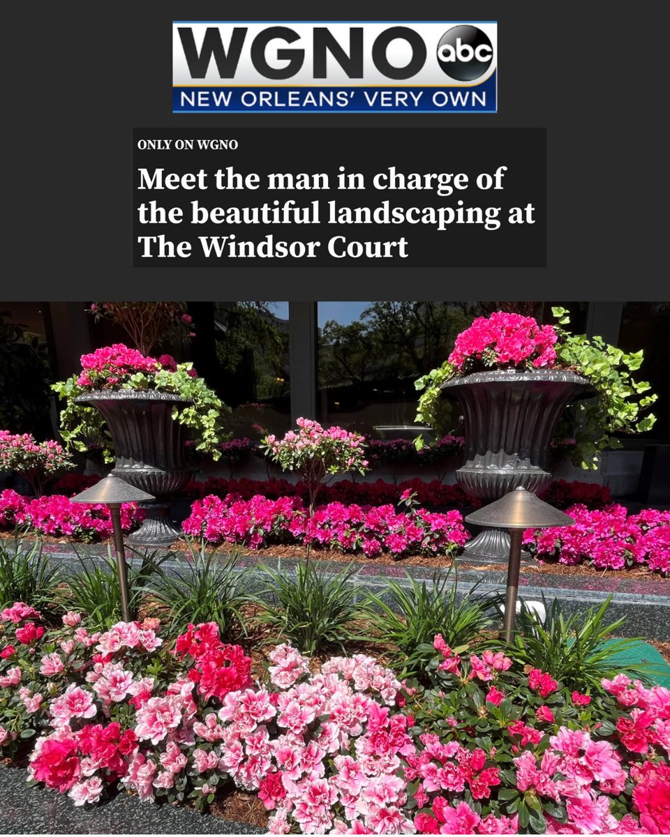 Mayfield PR tweet media