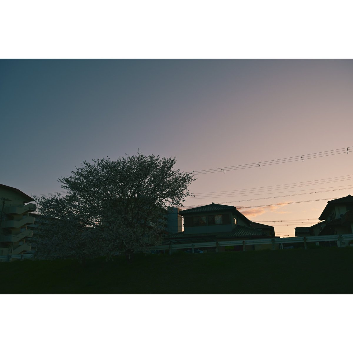 Agi（あぎ） (@agito_photo) on Twitter photo 