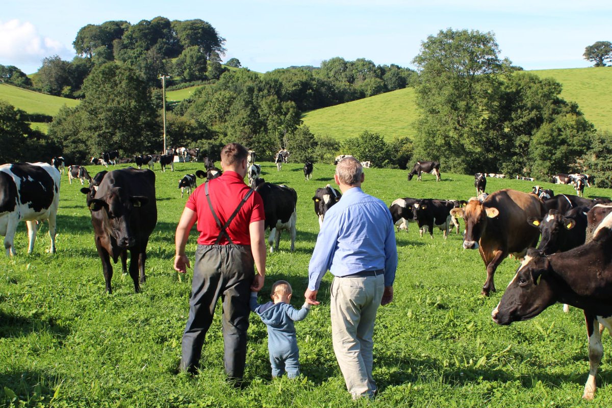 MontWildlife's tweet photo. In #Montgomeryshire we’re supporting farmers to reduce pesticide reliance to benefit wildlife, farm business & people. #Organic Gate Farm in Llandyssil nr #Abermule use no artificial fertilisers or pesticides & maintain a PWAB (produced without antibiotics) dairy herd🐮
@NFFNUK https://t.co/wvLobvuYd4