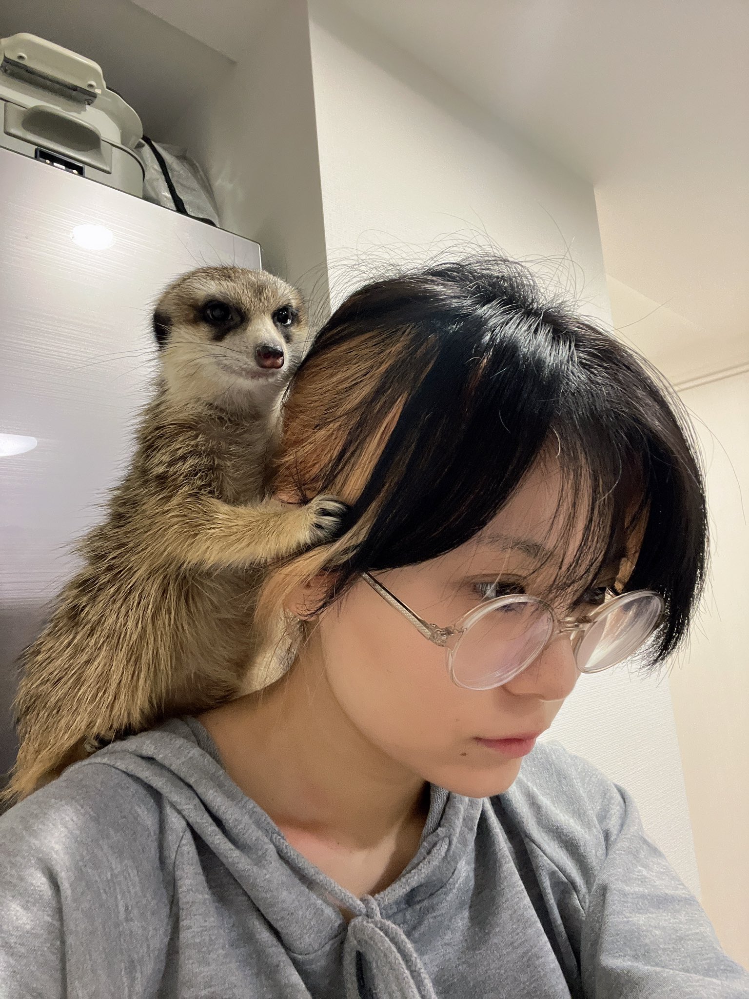 RaMu (@dpandaramu) / X