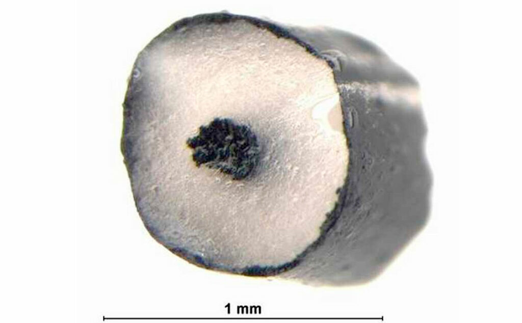 maxilolapaz's tweet photo. 🔹Investigadores suizos logran imprimir músculos artificiales suaves, elásticos y funcionales, vía @ATdeBuenosAires 

🔸https://t.co/zbU7TQNp5h

#MAXILOLAPAZ #Laboratorio3D #bioetica #biomedicina #bioimpresion #biologiacomputacional #medicinaregenerativa #saluddigital #IA #3D https://t.co/vHSz2UkD6x