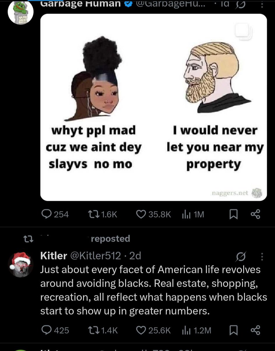lymphonerd's tweet photo. When you're scrolling, and you wonder why some things have the engagement they do on this app, just come back and look at this racist garbage and realize 35k and 25k people like these types of things. That tells you the type of people left here. https://t.co/66RyjKf0jY