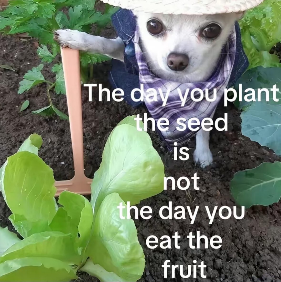 KarimIbrahim_'s tweet photo. Thursday's motivation https://t.co/n4wczAH6Eo