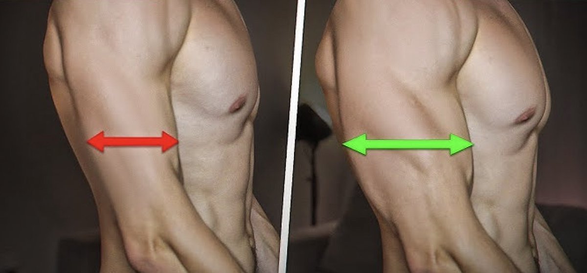 SoulfulSprinter's tweet photo. 5 workouts for huge triceps💪🏻

-Thread- https://t.co/sghHuT2Vvl