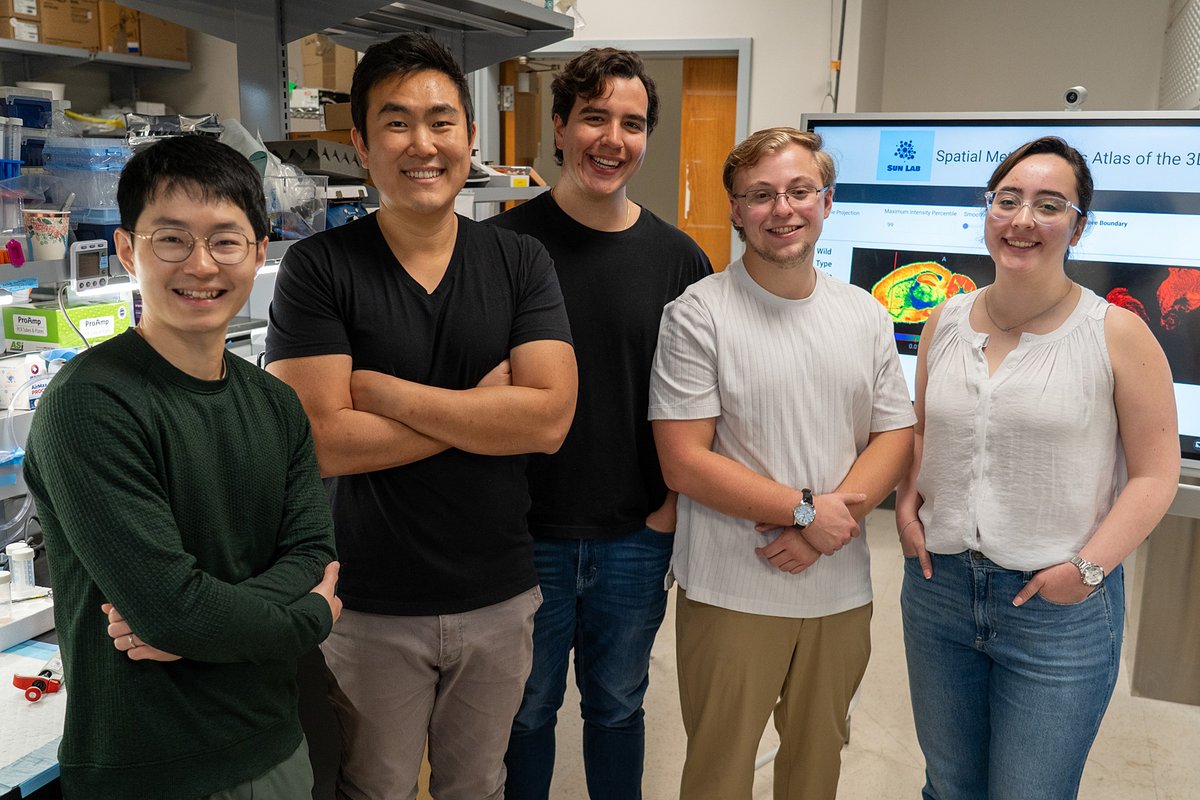 Thanks to <a href="/NIH/">NIH</a> funding, <a href="/UF/">FLORIDA</a> scientists built a groundbreaking #AIatUF tool that maps the brain in 3D, similar to Google Earth. It's a new era in neuroscience that could allow researchers to discover targeted treatments for neurodegenerative disorders. 
📰 go.ufl.edu/rfzlefn