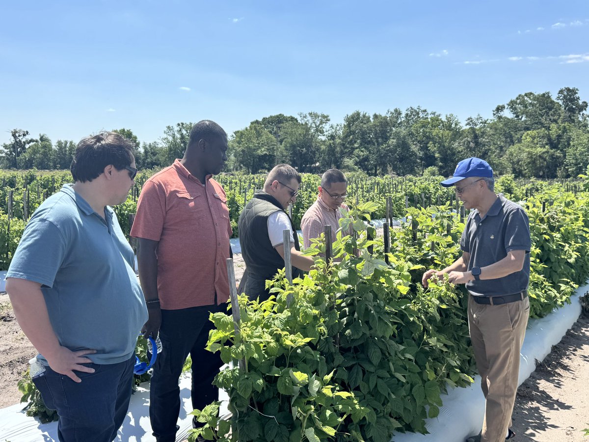 Clean_Plant_Arkansas tweet media