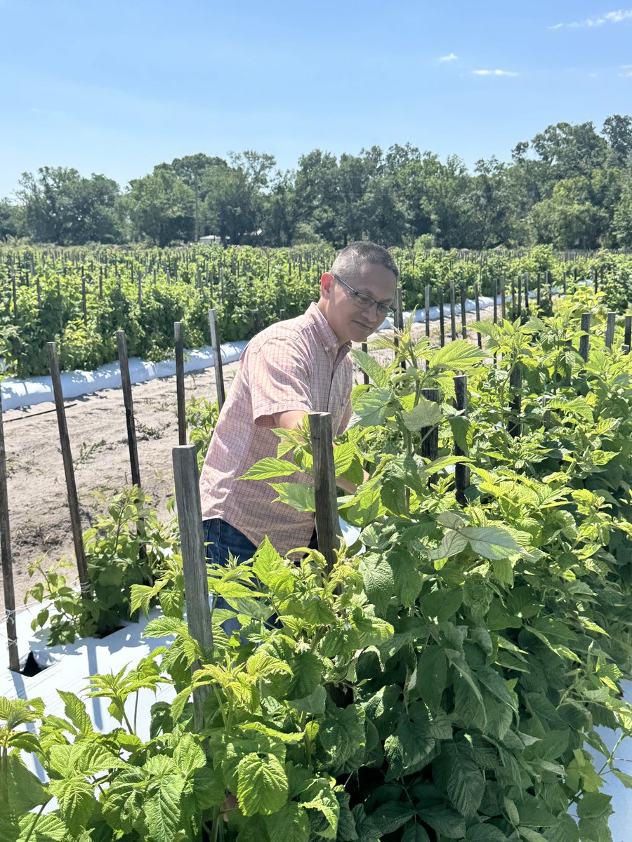 Clean_Plant_Arkansas tweet media