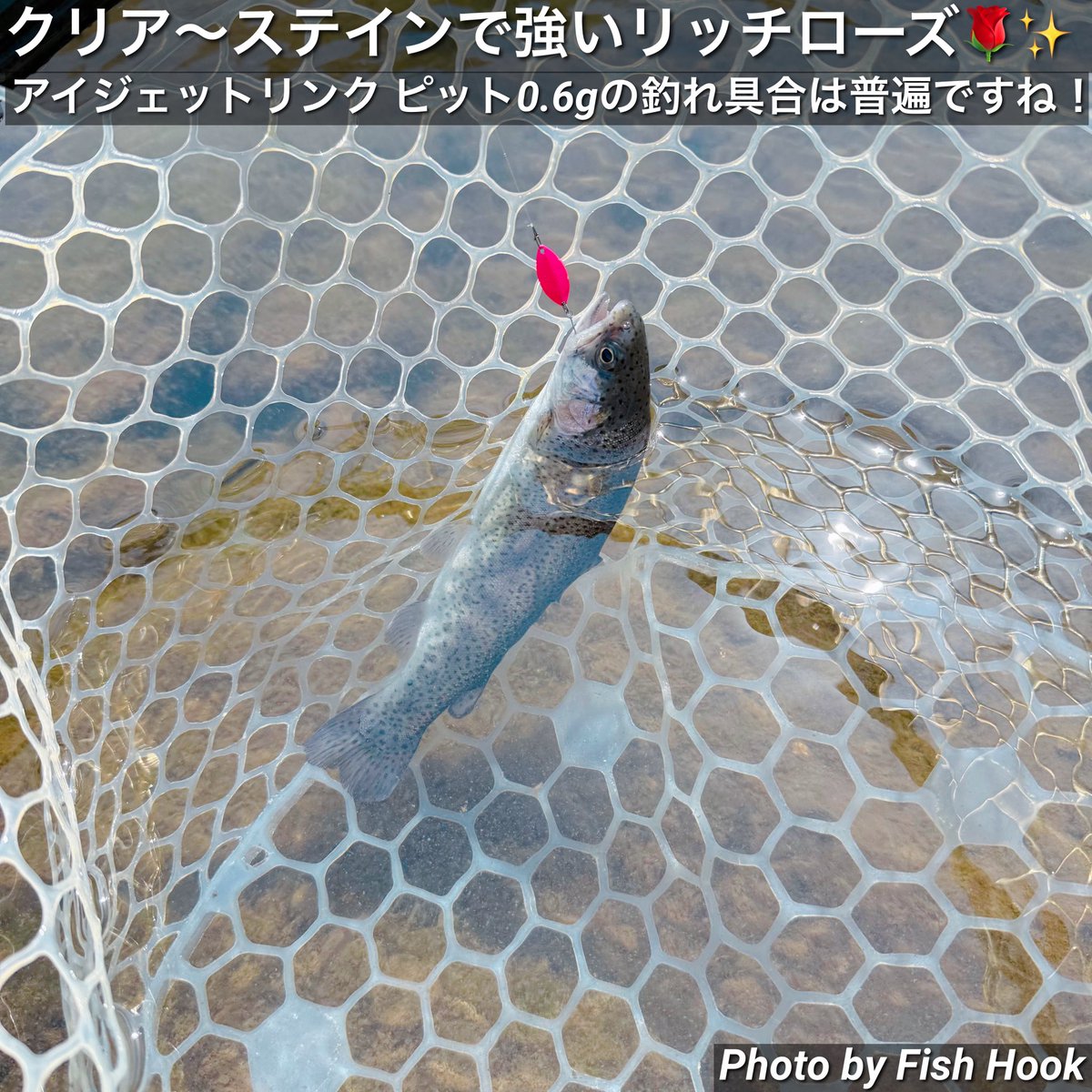 FishHook_2023's tweet photo. 【発送いたしました🙌✨】
ご注文ありがとうございます🙇‍♂️🙇‍♀️本日はHuerco×Fish HookコラボのGTF600-5Sのテスト釣行でFF中津川様へ🚐💨到着したらビックリ🤭✨素敵な方々とご一緒させていただき学びと発見と楽しく釣りをさせて頂きました！感謝ッ🙏✨

今日もワクワクが届きますように🐟✨ https://t.co/ctUVWSzOyT