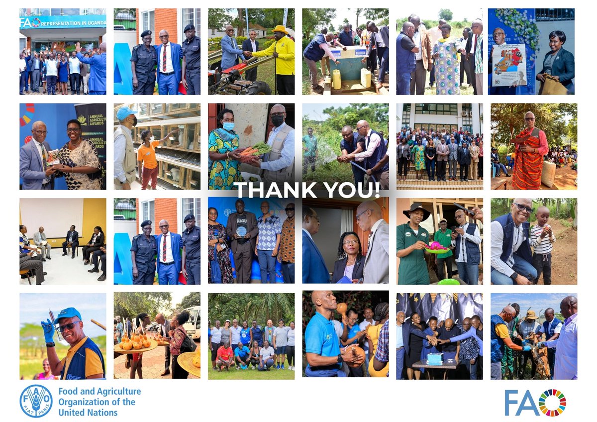 FAO in Uganda (@faouganda) on Twitter photo Saying farewell to a phenomenal leader is hard, but it is all part of the odyssey.
After 6 years of sturdy stewardship, today is <a href="/queridoAntonioL/">Antonio Querido</a>’s last day as <a href="/FAO/">Food and Agriculture Organization</a> Representative in Uganda.
From all of us at FAO Uganda, we wish you success in <a href="/FAOCameroun/">FAO Cameroun</a>. Saying farewell to a phenomenal leader is hard, but it is all part of the odyssey.
After 6 years of sturdy stewardship, today is <a href="/queridoAntonioL/">Antonio Querido</a>’s last day as <a href="/FAO/">Food and Agriculture Organization</a> Representative in Uganda.
From all of us at FAO Uganda, we wish you success in <a href="/FAOCameroun/">FAO Cameroun</a>.