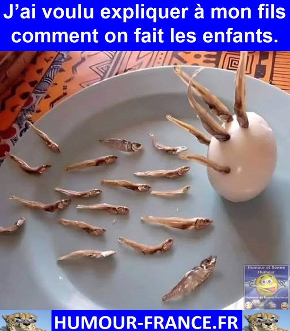 text alternatif