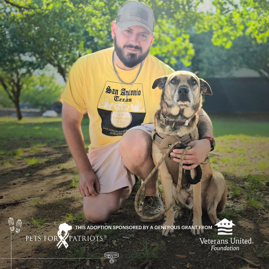 Pets for Patriots tweet media