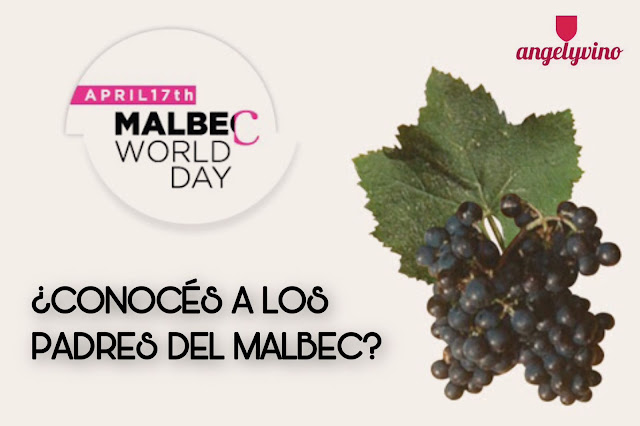 🆕ＮＵＥ▼▲ ＮＯＴ▲🍷 
En un nuevo festejo del 𝐝𝐢́𝐚 𝐢𝐧𝐭𝐞𝐫𝐧𝐚𝐜𝐢𝐨𝐧𝐚𝐥 𝐝𝐞𝐥 𝐌𝐀𝐋𝐁𝐄𝐂 revivimos esta nota de nuestro blog, que te cuenta sus 𝐢𝐧𝐭𝐫𝐢𝐠𝐚𝐧𝐭𝐞𝐬 𝐨𝐫𝐢́𝐠𝐞𝐧𝐞𝐬 𝐠𝐞𝐧𝐞́𝐭𝐢𝐜𝐨𝐬
 #wine #vino
LINK ⤵️
bit.ly/MalbecDay25