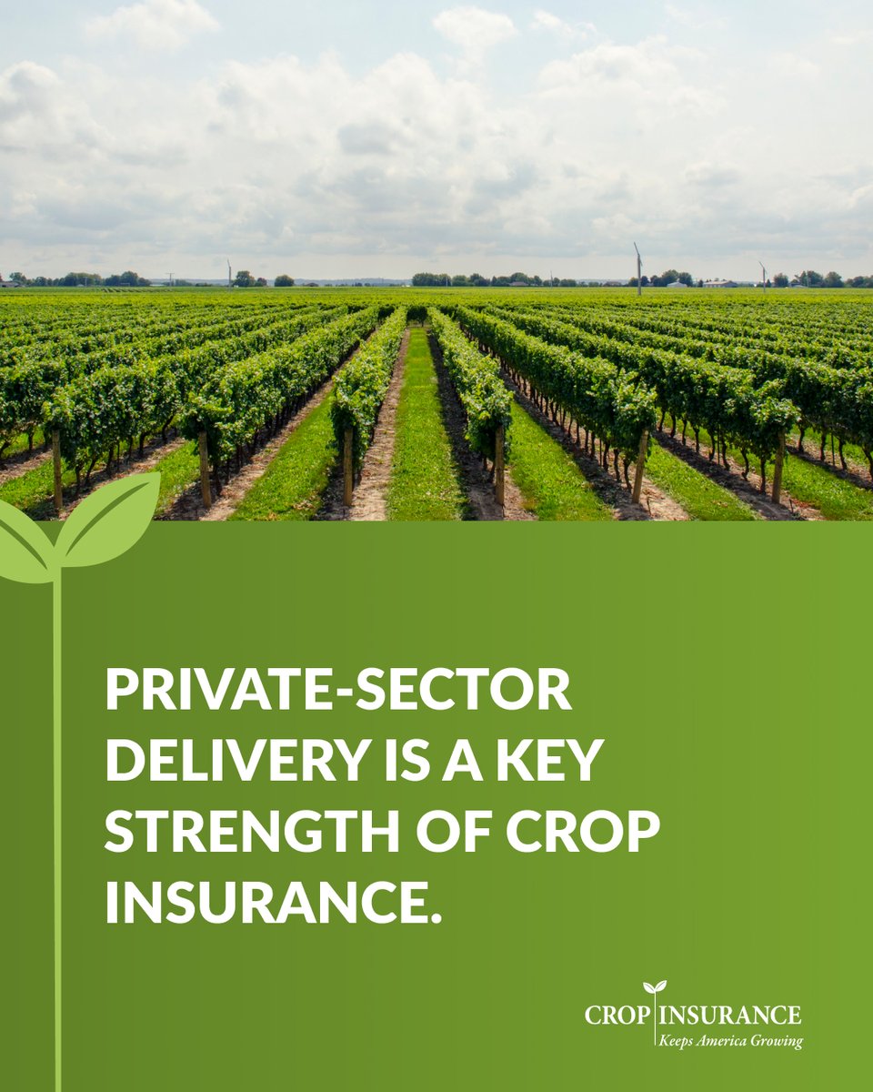 UScropinsurance's tweet photo. Why does private-sector delivery of #cropinsurance matter? B/c farmers can’t wait years for aid. Unlike ad hoc disaster programs, crop insurance delivers support within 30 days of a finalized claim, combining private-sector efficiency w/ federal stability. https://t.co/4J7XWxQfUE https://t.co/LJxgCJ4jlY