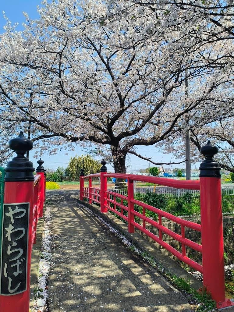 ありがとう my friend 
Thanks for this photo 🙏🏻🤗