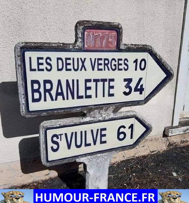 text alternatif
