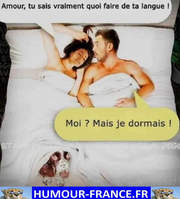 text alternatif