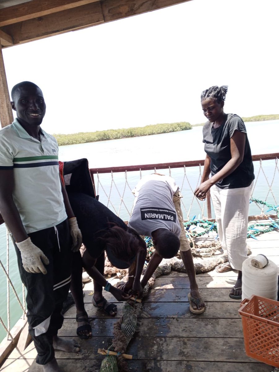 💫Nebeday 🌱♻️ tweet media