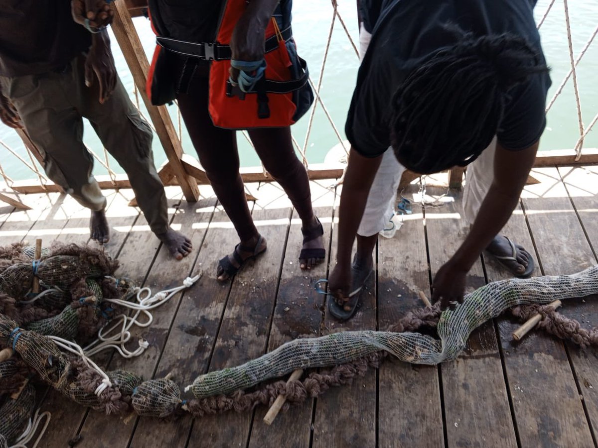 💫Nebeday 🌱♻️ tweet media