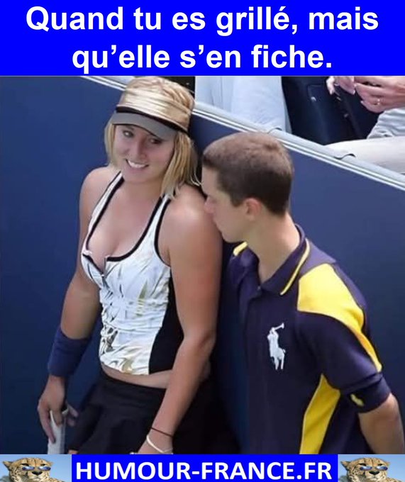 text alternatif