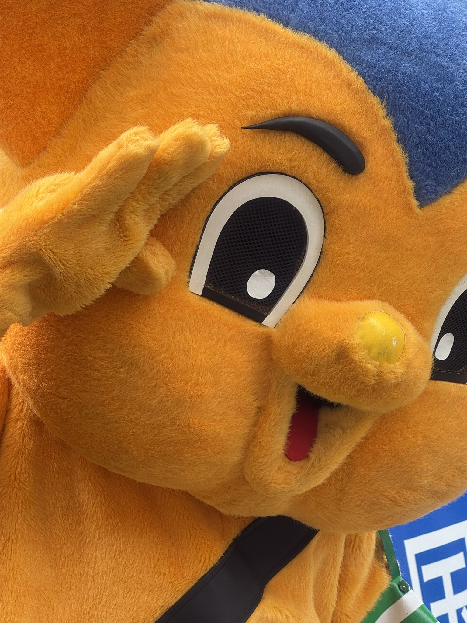 ビーポくんマスコット Amazon.co.jp: 警視庁 マスコット ピーポくん ぬいぐるみ 45