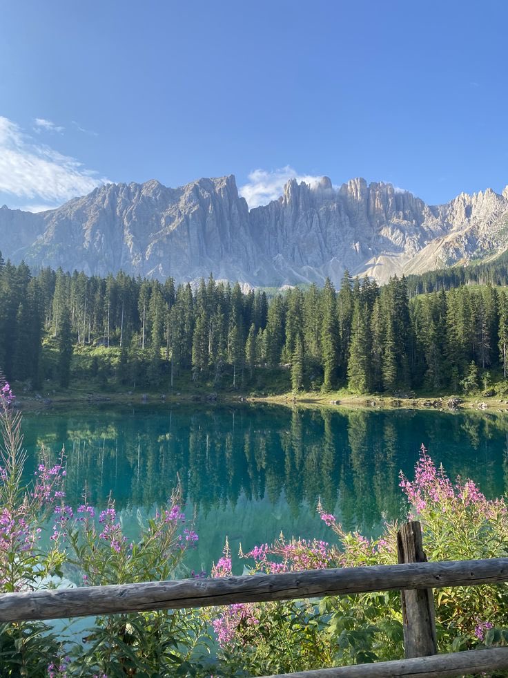suman.kc (@frn_suman) on Twitter photo 