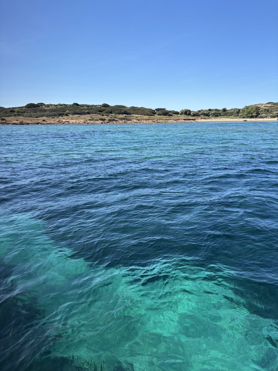 Mary Novakovich tweet media