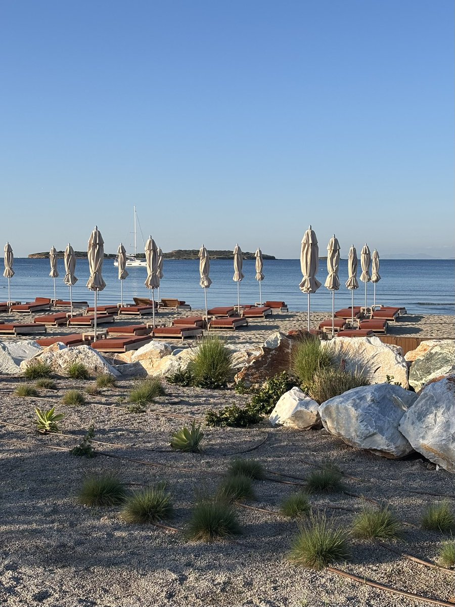 Mary Novakovich tweet media