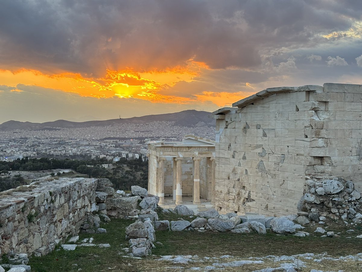 Mary Novakovich tweet media