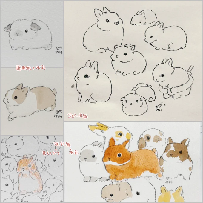 紙もiPadも一発書きなのは同じゆえ、絵柄はそんなに変わんない。塗りのこなれ感のなさは何とかしないと、真贋不明の怪絵がどなたかの家に送られることになってしまいますよ。どうなる。 