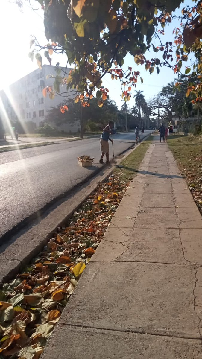 AsambleaLaLisa's tweet image. Seguimos hoy en ofensiva de limpieza e higienización comunal en #LaLisaViveEnMí
Los trabajadores de #Comunales no se detienen #SíSePuede.