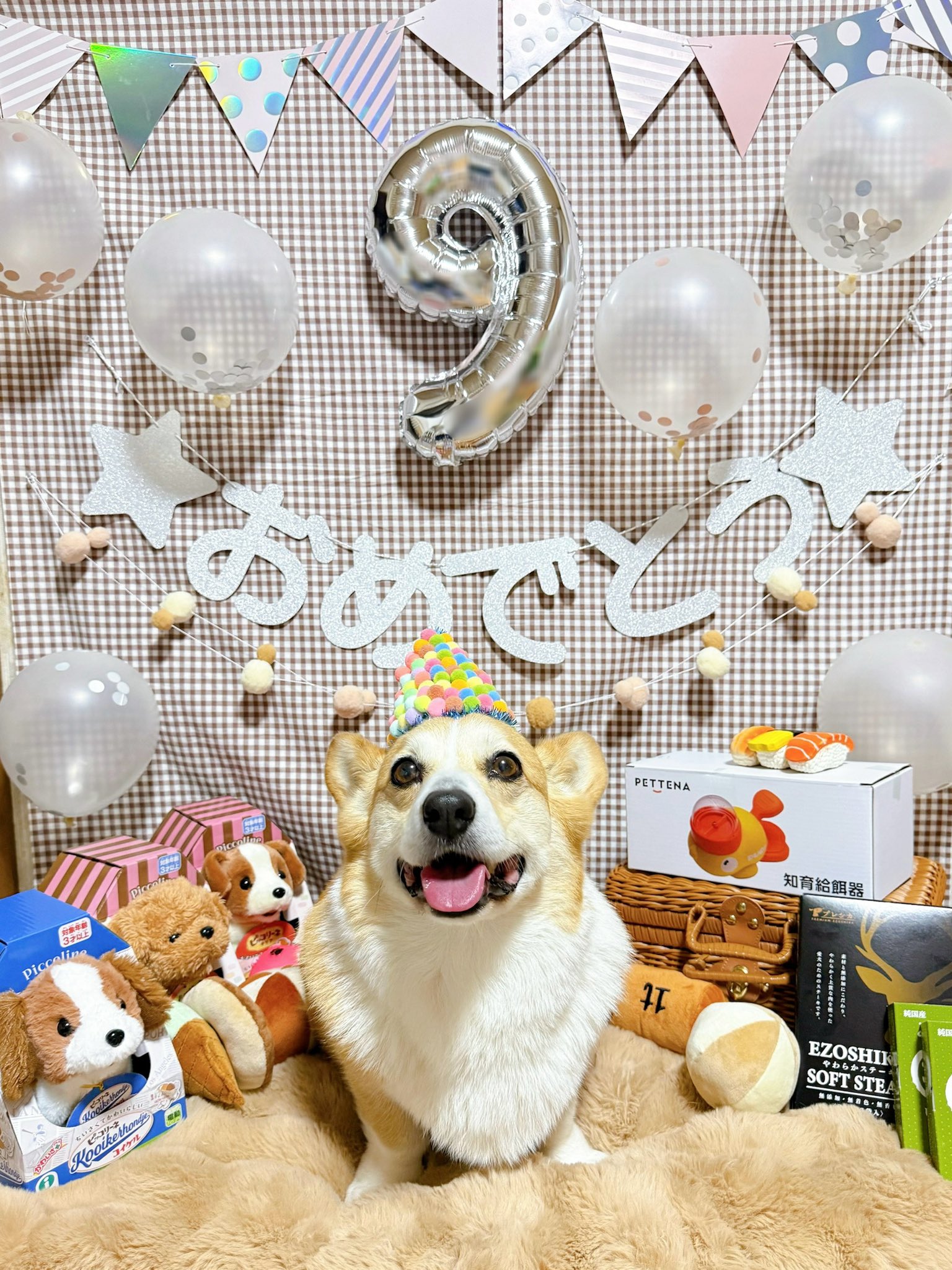 vintage dog ❀ * ツートーンの可愛い ワンちゃん