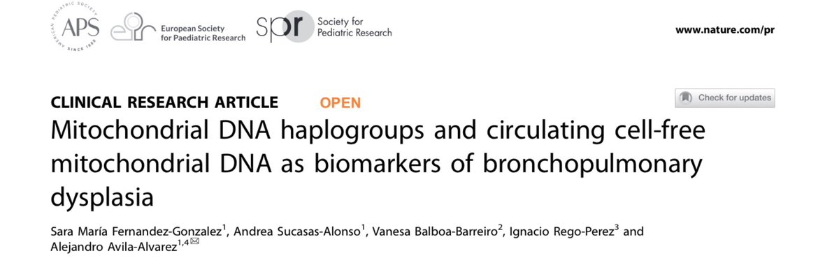 Alex Avila (@alexavila81) on Twitter photo Our group have just published in <a href="/Ped_Research/">Pediatric Research</a> the first study to explore the link between mitochondrial DNA and BPD in preterm infants. While no direct association found, key clinical predictors of BPD/death were identified. Funded by <a href="/SaludISCIII/">Instituto de Salud Carlos III (ISCIII)</a> πͺπ»πͺπ» π« πΆπΌ Our group have just published in <a href="/Ped_Research/">Pediatric Research</a> the first study to explore the link between mitochondrial DNA and BPD in preterm infants. While no direct association found, key clinical predictors of BPD/death were identified. Funded by <a href="/SaludISCIII/">Instituto de Salud Carlos III (ISCIII)</a> πͺπ»πͺπ» π« πΆπΌ