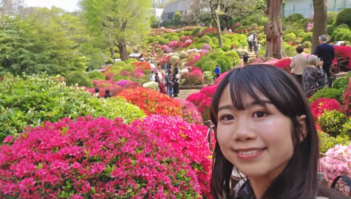 根津神社のつつじが綺麗だった！
Nezu Shrine Azalea 🌺 flowers were very pretty!😍 

#flowers