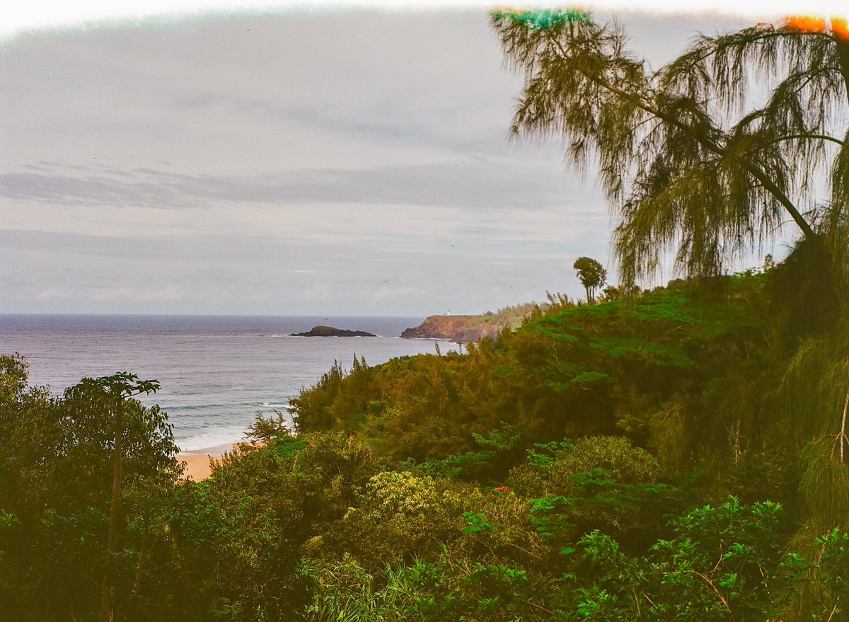 GoodGuyCrabs's tweet photo. Secret Beach - Kauai
🎞️ Gold 200
#filmphotography https://t.co/Pcy6nr4nvG