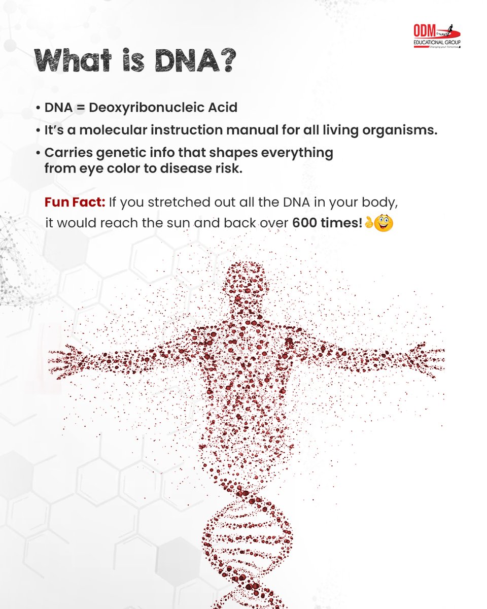ODMEGroup's tweet photo. 🧬 DNA – The Blueprint of Life  

Ever wondered what makes you unique? From your looks to your health, it all starts with DNA!  

Your body holds the secret to life. 

#DNAExplained #WhatIsDNA #ScienceIsFun #GeneticsBasics #LearnWithUs #ScienceMadeSimple #StudentLearning https://t.co/QqzfGNpuTj
