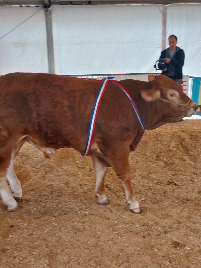 Image de Préfète du Lot