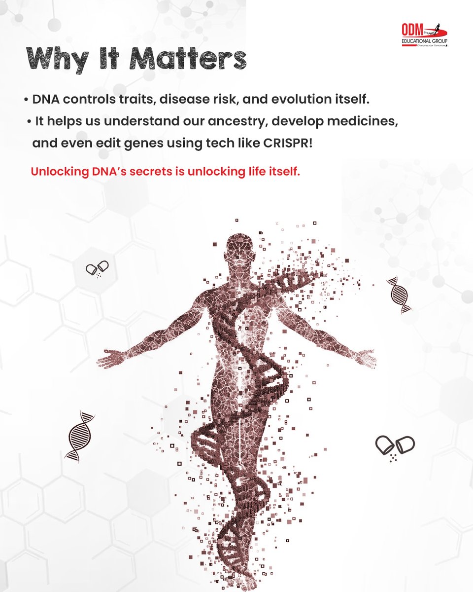 ODMEGroup's tweet photo. 🧬 DNA – The Blueprint of Life  

Ever wondered what makes you unique? From your looks to your health, it all starts with DNA!  

Your body holds the secret to life. 

#DNAExplained #WhatIsDNA #ScienceIsFun #GeneticsBasics #LearnWithUs #ScienceMadeSimple #StudentLearning https://t.co/QqzfGNpuTj