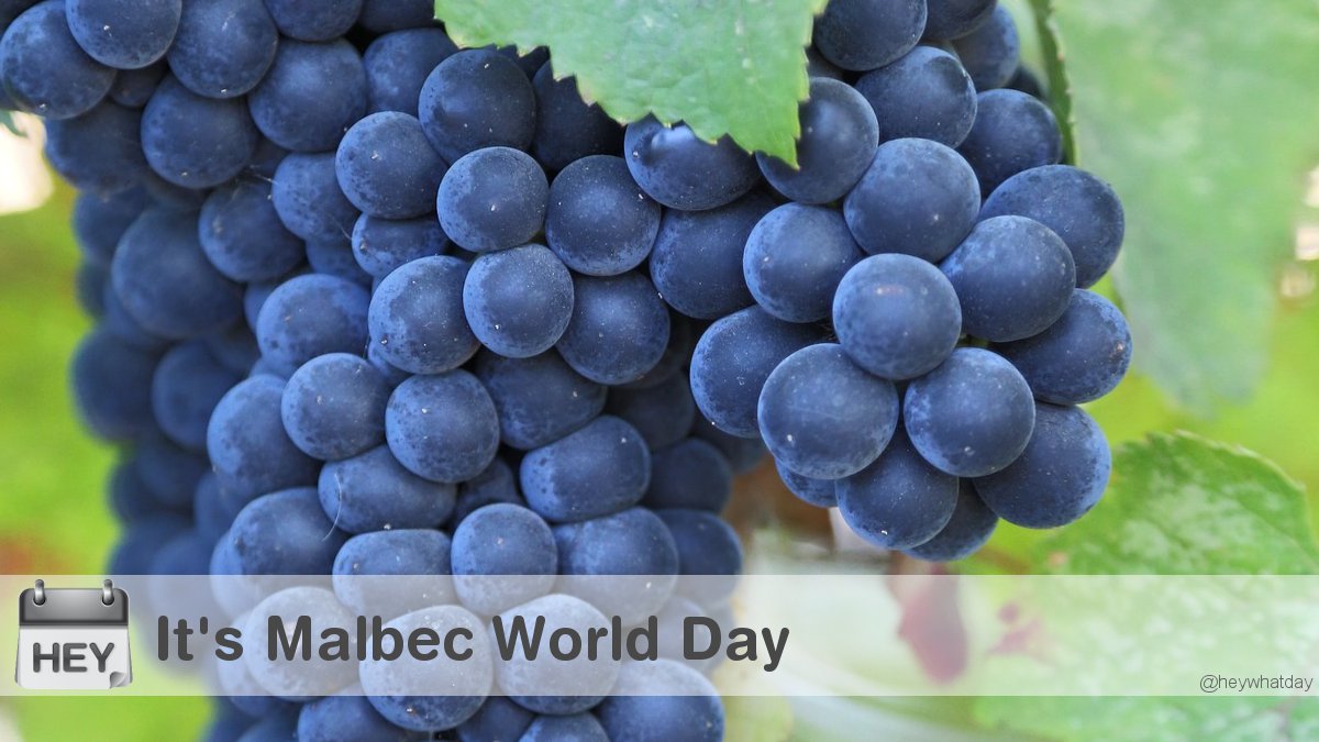HeyWhatDay's tweet photo. It's Malbec World Day! 
#Grapes #MalbecWorldDay #WorldMalbecDay https://t.co/XTbhhpRCCM