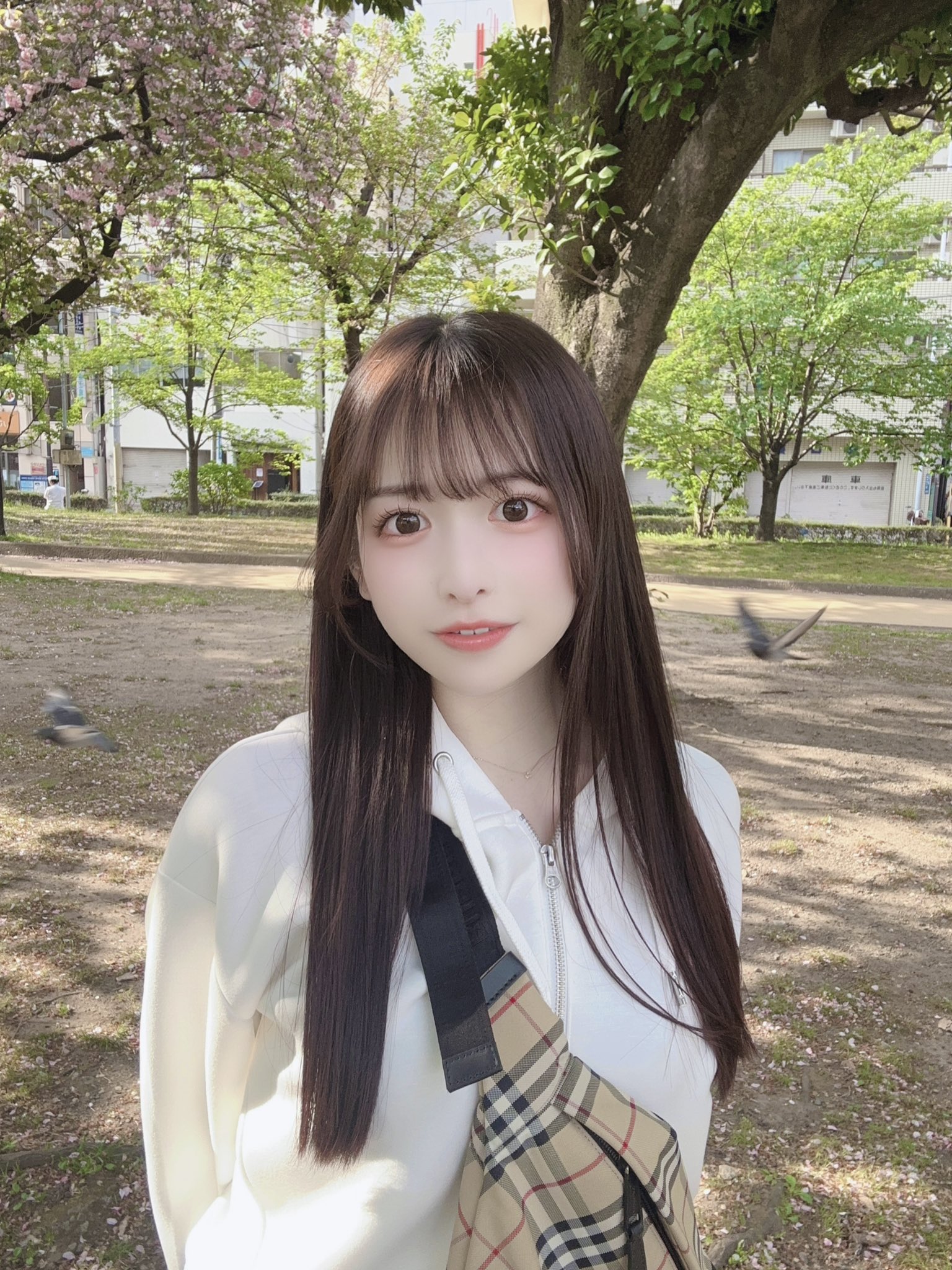 バニラGirlとこうしちゃえっ☆ TEAM純情 あっとほぉーむカフェ