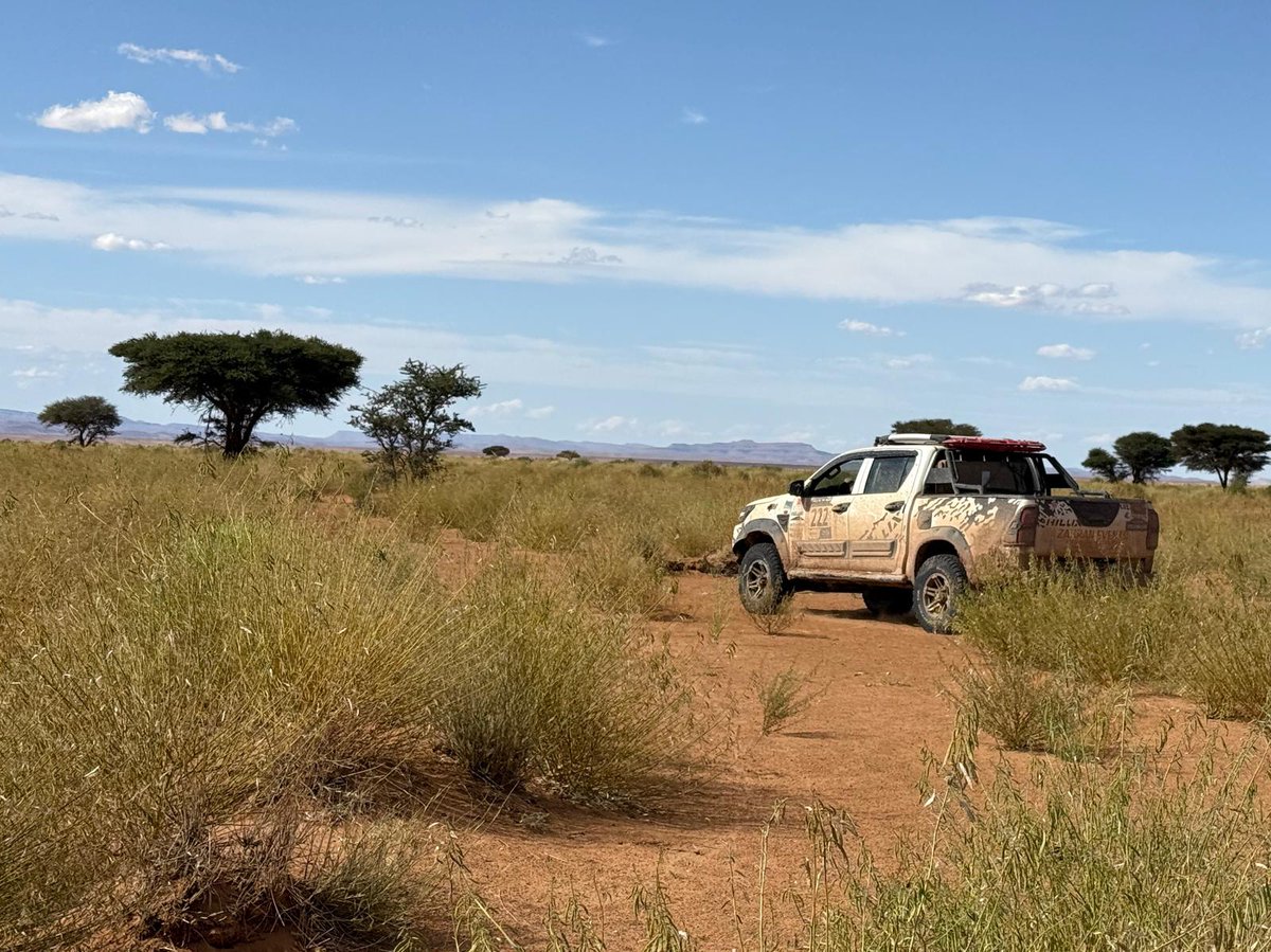 MarocRallye's tweet photo. 🏁 Jour 4 – Recos Rallye du Maroc 🏜️
☀️Le soleil est de retour, et avec lui... les dunes ! 
Nos équipes affûtent les parcours pour vous offrir une édition inoubliable.
Restez connectés, l'aventure ne fait que commencer ! 🔥 #rallyedumaroc #rdm25 @OfficialW2RC @FIMLive @fia https://t.co/DMqiRk8jw7