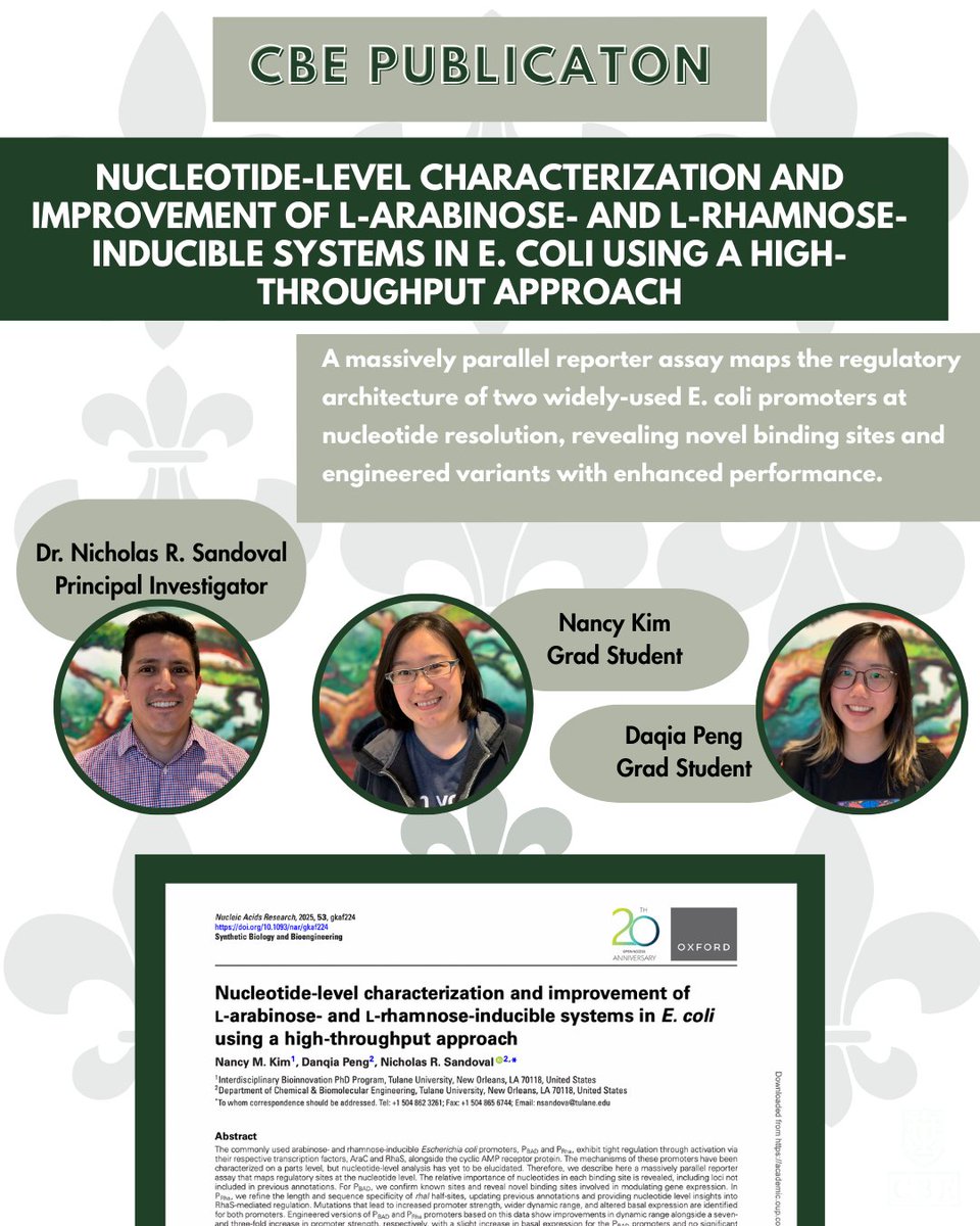 New work out of Tulane CBE! 🚀 Researchers have mapped the regulatory blueprints of two essential E. coli promoters at single-nucleotide resolution, uncovering new regulatory sites and engineering improved promoter designs for synthetic biology applications. 📖🔬 #TulaneCBE