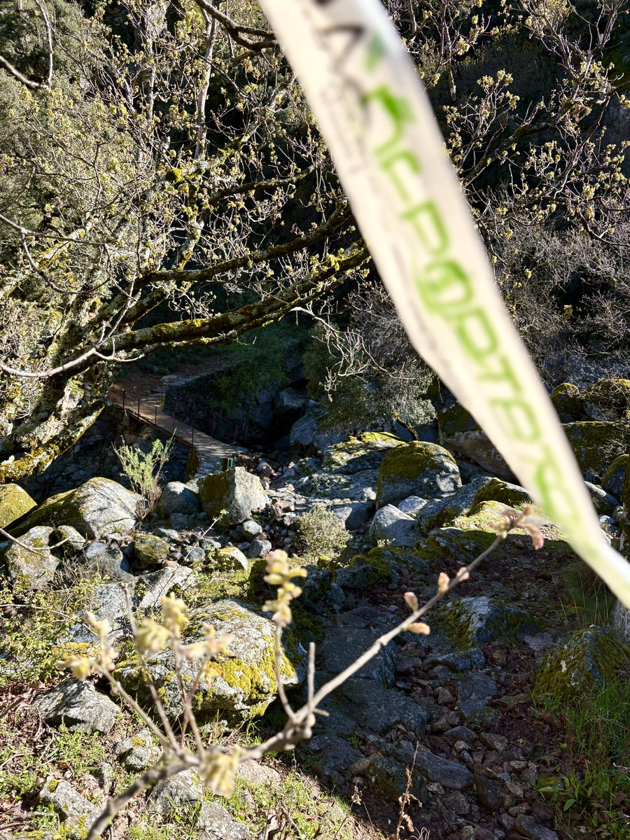 ¡2 DÍAS! 🌤️💦🌿🏔️

#CxMGargantaDeLosInfiernos #Jerte #Abril #Trail #Fexme