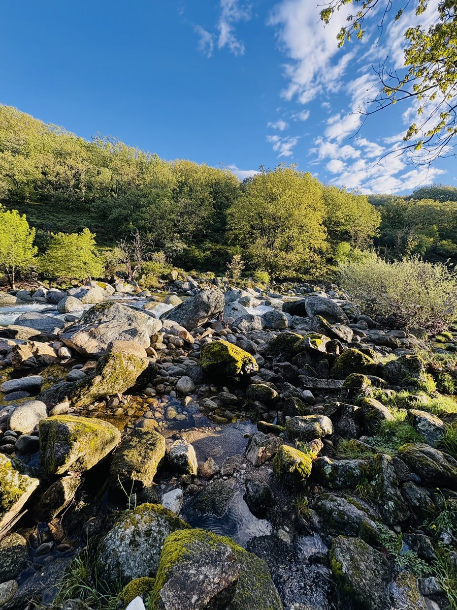 CxMGargdelosInf's tweet photo. ¡2 DÍAS! 🌤️💦🌿🏔️
#CxMGargantaDeLosInfiernos #Jerte #Abril #Trail #Fexme https://t.co/MjpRZN7c2P