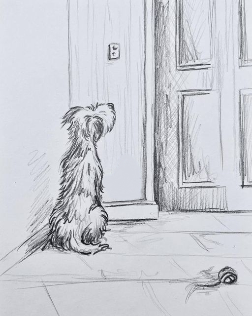 I miss coming home to you. There was nothing more exciting than a hard day and seeing your face when i opened the door 🩶 If Animals Matter to You, Leave a Red Heart💕