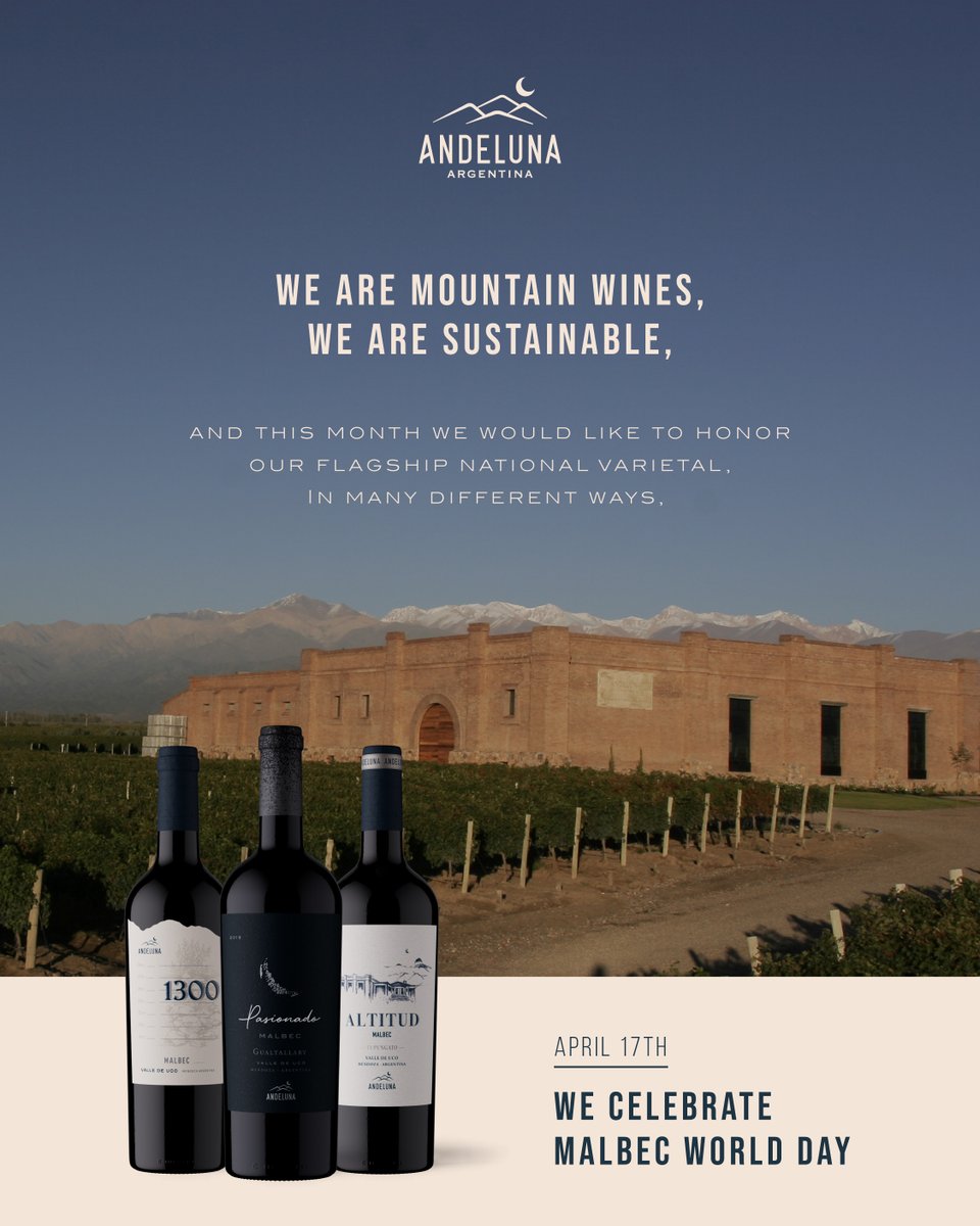 Bodega Andeluna tweet media